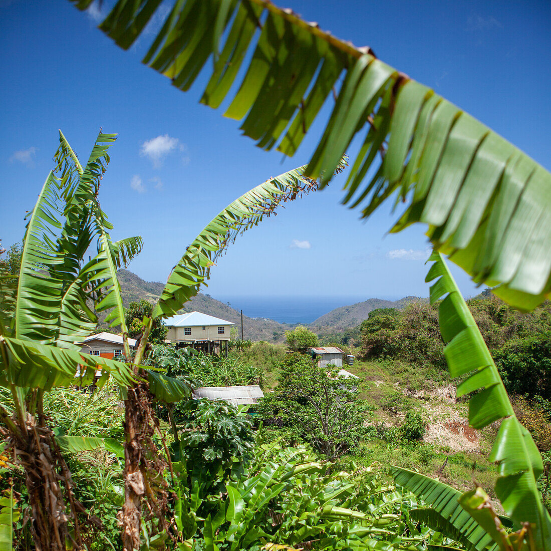 Landschaft auf Grenada, Karibik