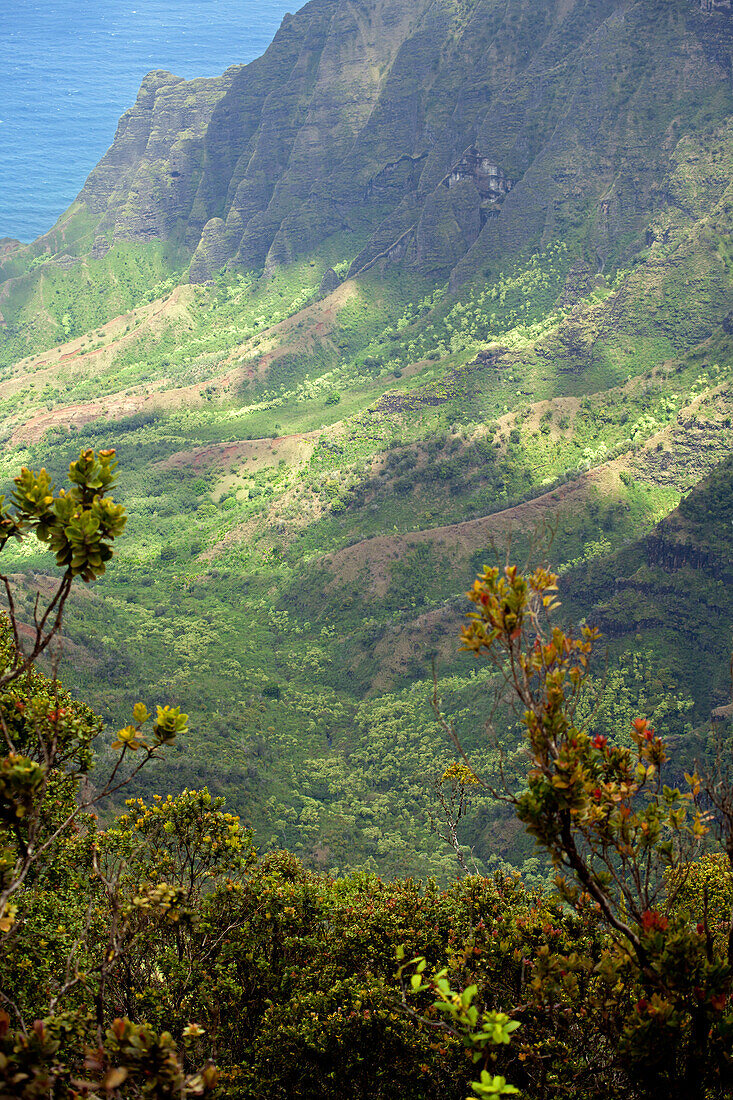  Pu&#39;u O Kila Lookout, Kauai, Hawaii 