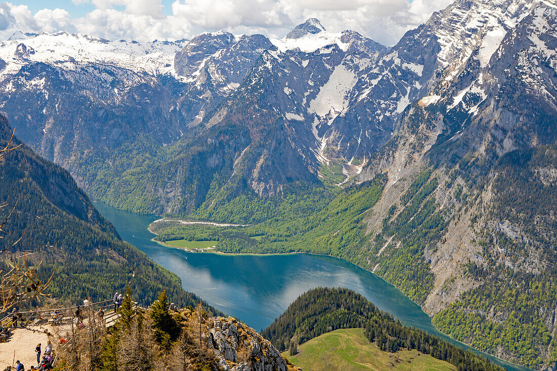 Alpenpanorama - Blick vom Jenner auf den Königssee, Berchtesgaden, Schönau, Bayern, Deutschland 