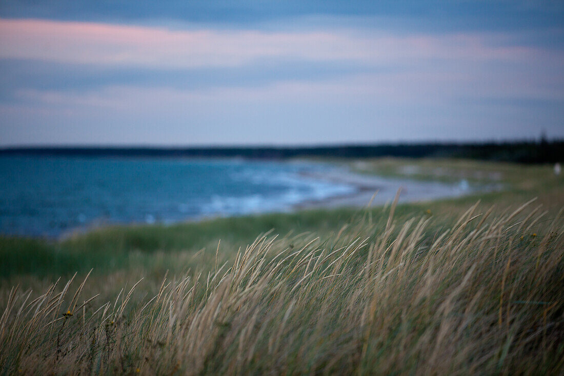  Sunset on the beach, Baltic Sea, Darß, Fischland, Ahrenshoop, Mecklenburg-Western Pomerania, Germany 