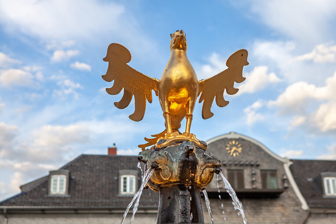 Adler auf dem Marktbrunnen, Goslar, Niedersachsen, Deutschland