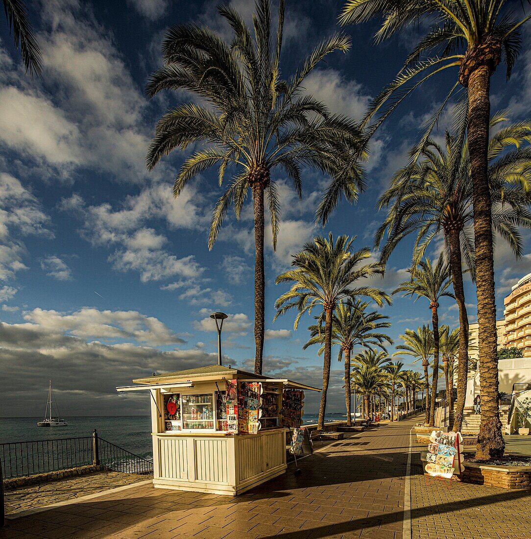  Sea promenade with palm trees in the morning light, boat in the sea, Marbella, Costa del Sol, Andalusia, Spain 
