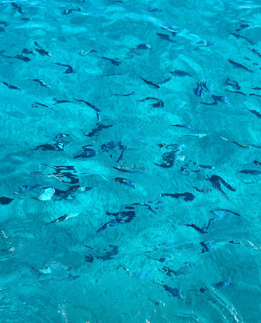 Blue water surface of a swimming pool with small waves in summer