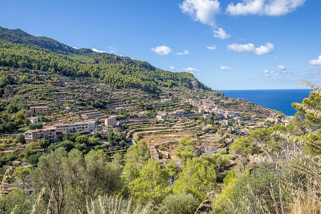 Tramuntana-Gebirge in der Nähe von Banyalbufar, Serra de Tramuntana, Mallorca, Balearen, Mittelmeer, Spanien