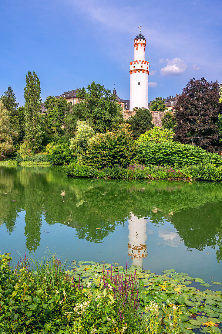  Castle park with white tower of Homburg Castle, Bad Homburg vor der Höhe, Taunus, Hesse, Germany 