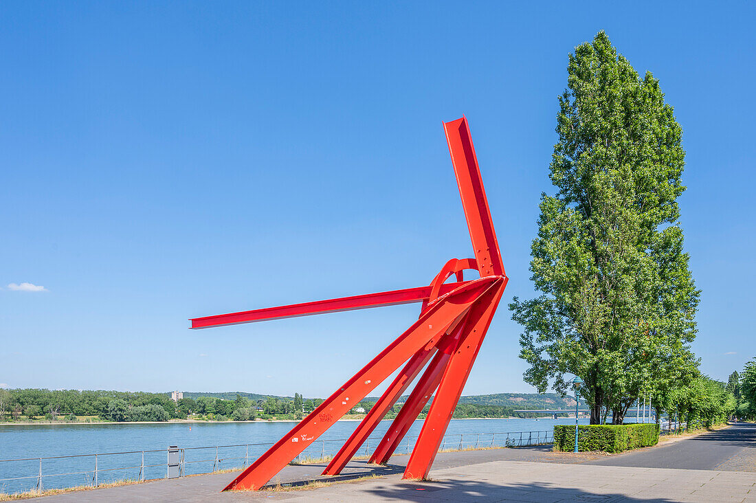  Sculpture La Allume on the banks of the Rhine, Bonn, North Rhine-Westphalia, Germany 