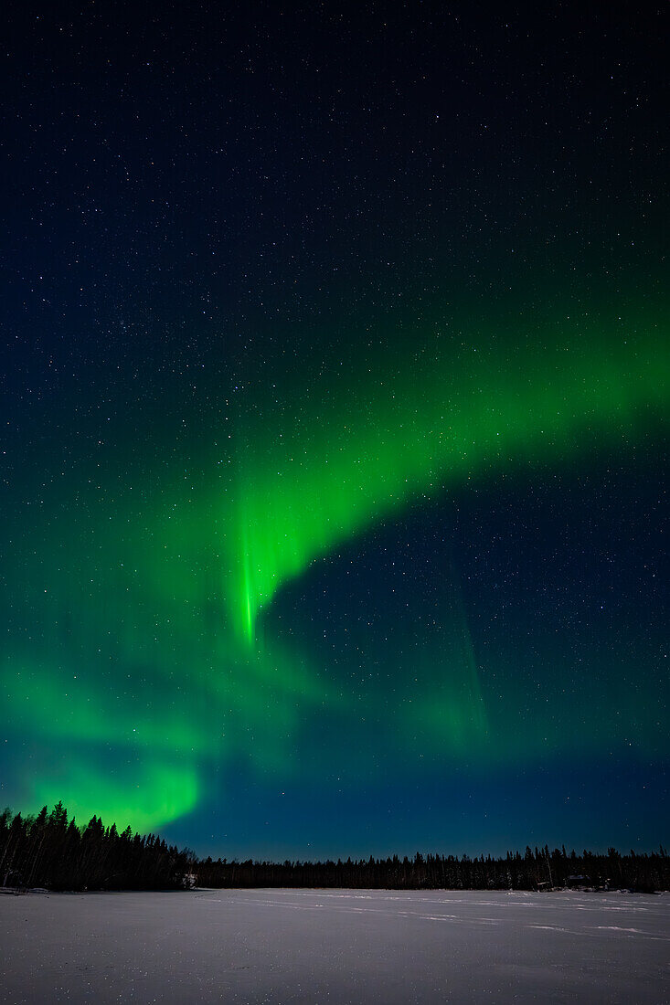 Nordlichter im Winter; Råneå, Norrbotten, Schweden