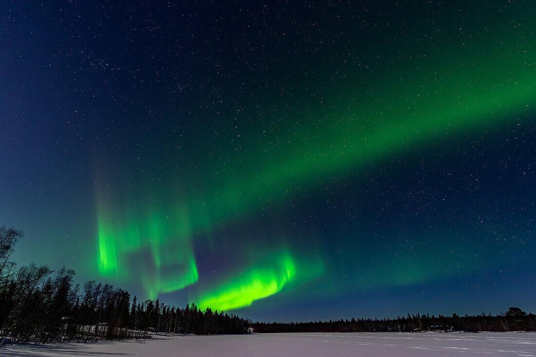  Northern Lights in winter; Råneå, Norrbotten, Sweden 