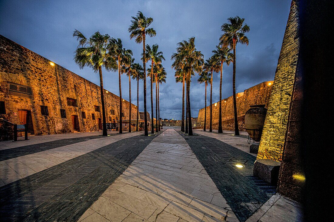 Palmen im Innenhof der Festungsanlage Murallas Reales bei Nacht, Ceuta, Straße von Gibraltar, Spanien