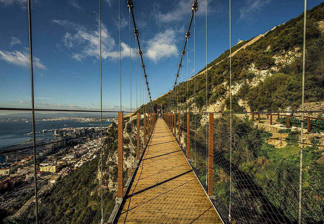  Windsor Suspension Bridge in the Upper Rock Nature Reserve of Gibraltar, view of the harbor and bay of Algeciras, British Crown Colony, Spain 