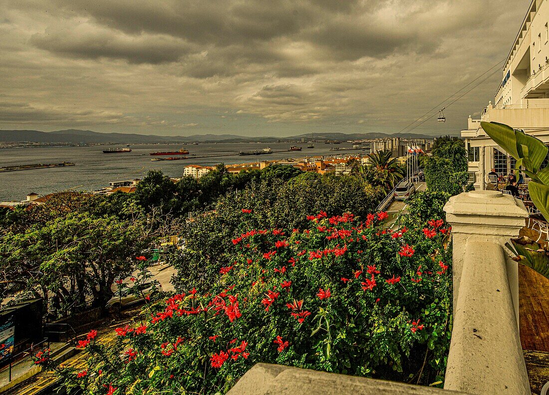  View from the Rock Hotel over the botanical gardens to the sea, in the background the cable car to the Upper Rock Nature Reserve, Gibraltar, British Crown Colony, Spain 