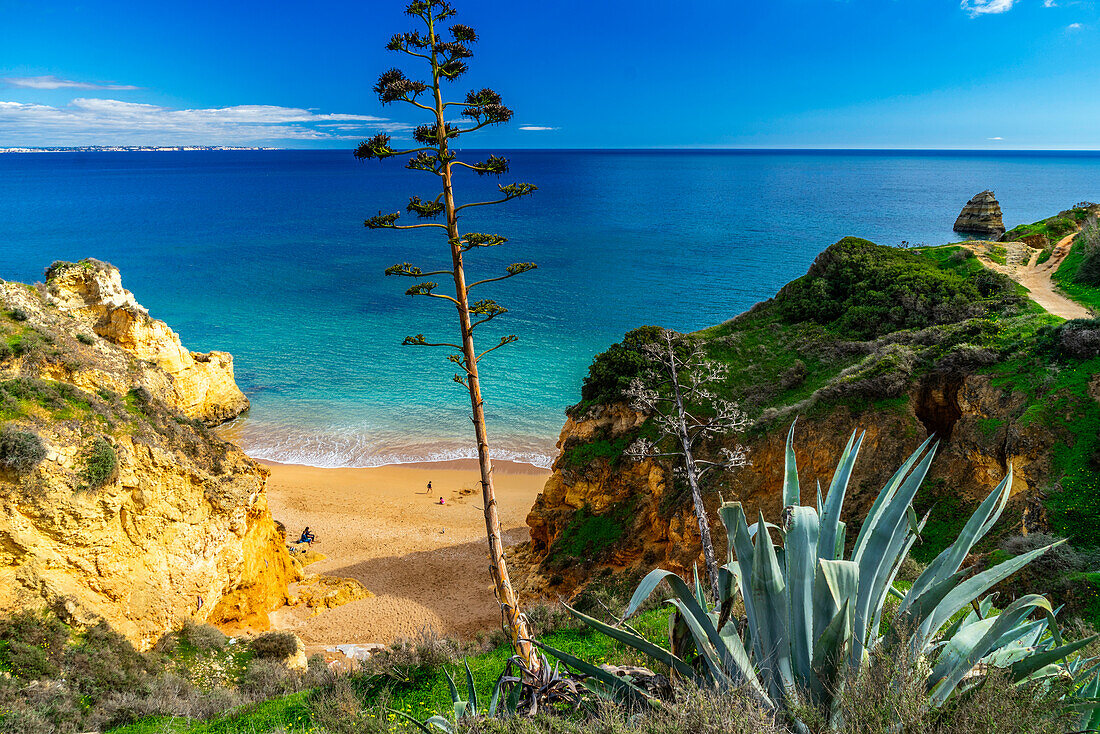Steilküste und Bucht mit Strand, Algarve, Portugal