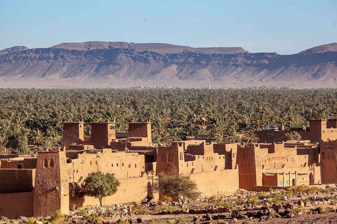 Lehmhäuser vor einer Dattelpalmenplantage im Draa Tal, Wadi Draa, Atlasgebirge, Marokko, Nordafrika