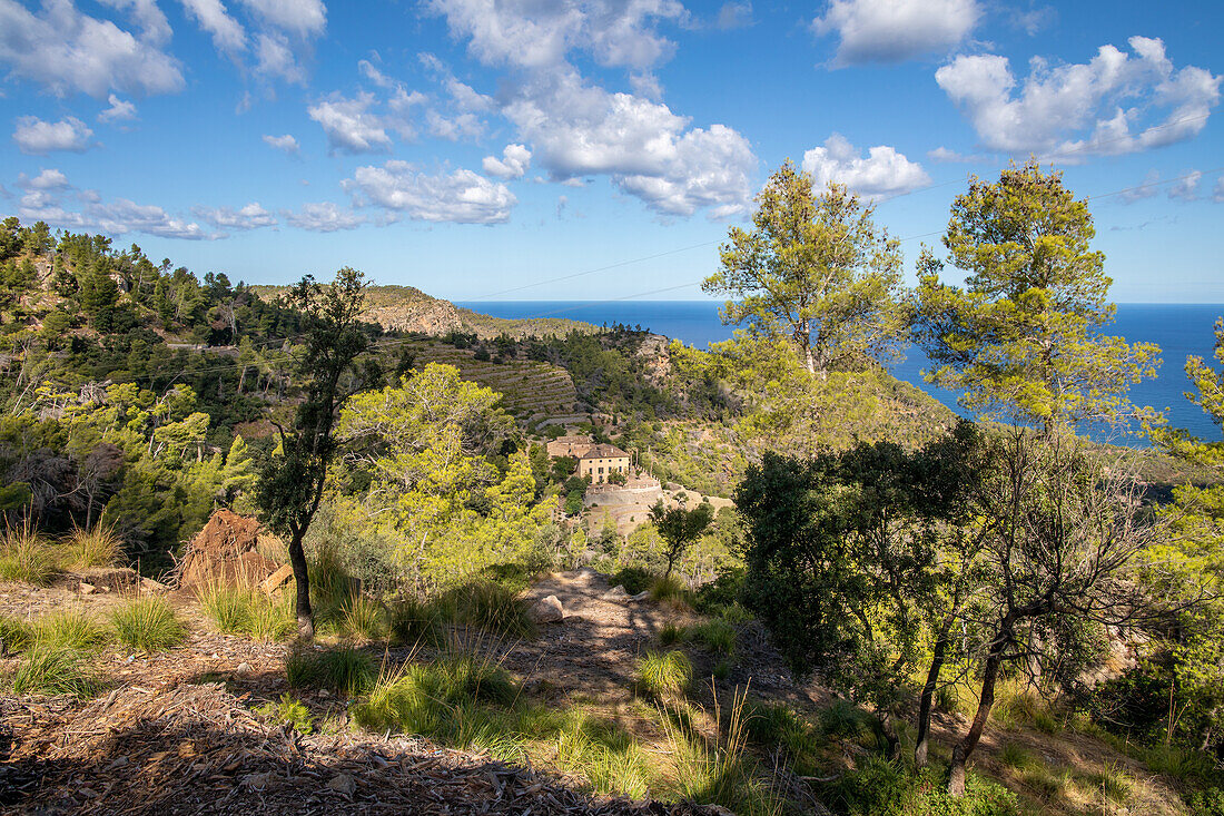  Tramuntana mountains between Valldemossa and Banyalbufar, Serra de Tramuntana, Mallorca, Balearic Islands, Mediterranean, Spain 