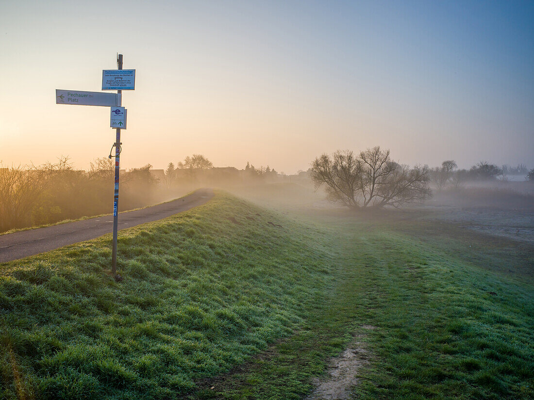 Elbdeich in Magdeburg-Cracau im Morgennebel, Prester See, Alte Elbe, Elbe, Magdeburg, Sachsen-Anhalt, Mitteldeutschland, Deutschland, Europa