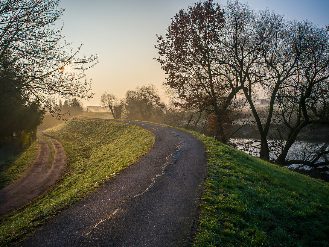  Elbeich in Magdeburg-Cracau at sunrise, Prester Lake, Old Elbe, Elbe, Magdeburg, Saxony-Anhalt, Central Germany, Germany, Europe 