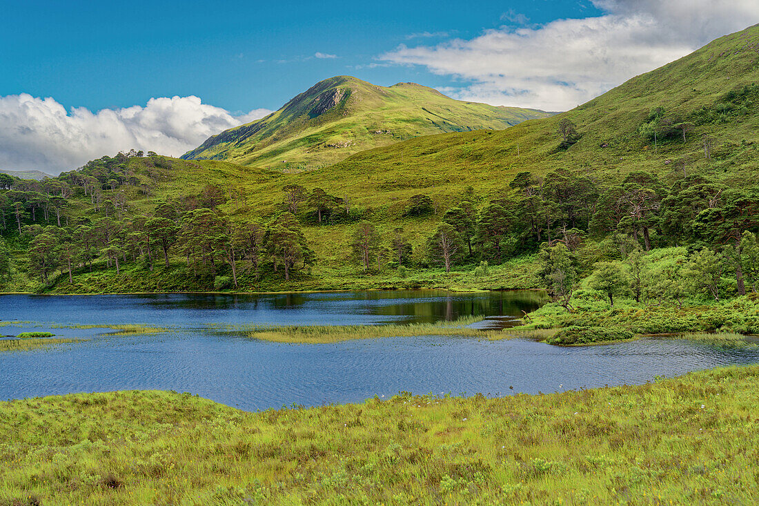  Great Britain, Scotland, West Highlands, Wester Ross, lakeside idyll near Torridon 