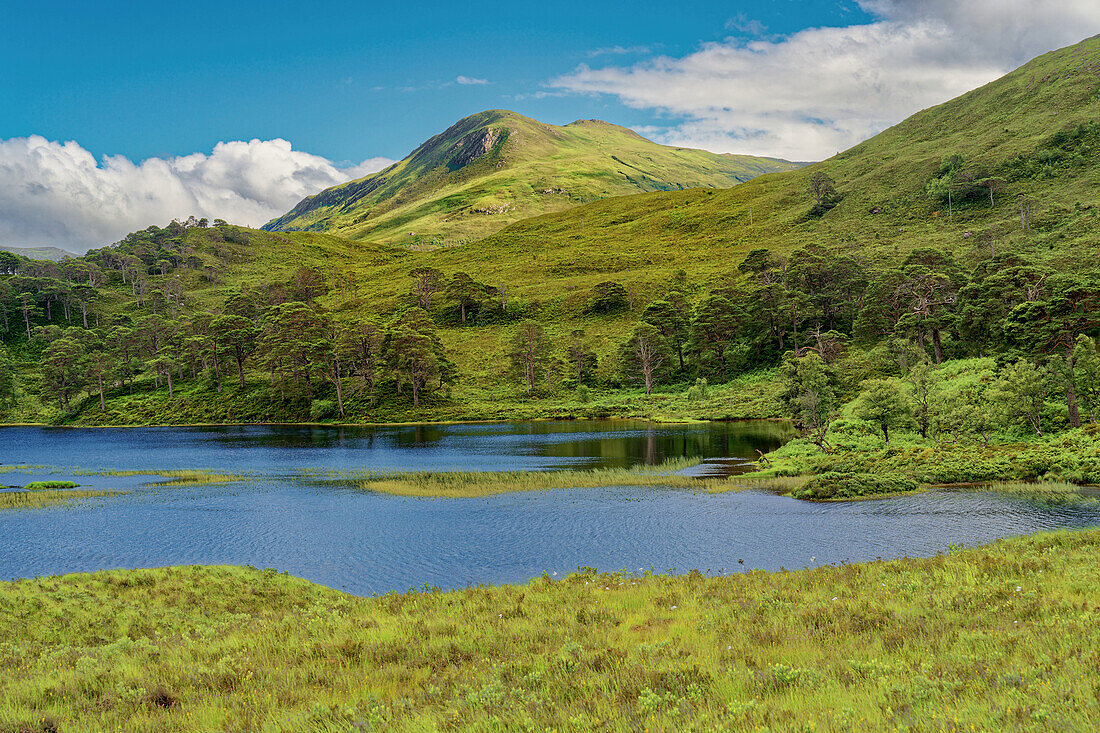 Großbritannien, Schottland, West Highlands, Wester Ross, Seeidylle bei Torridon