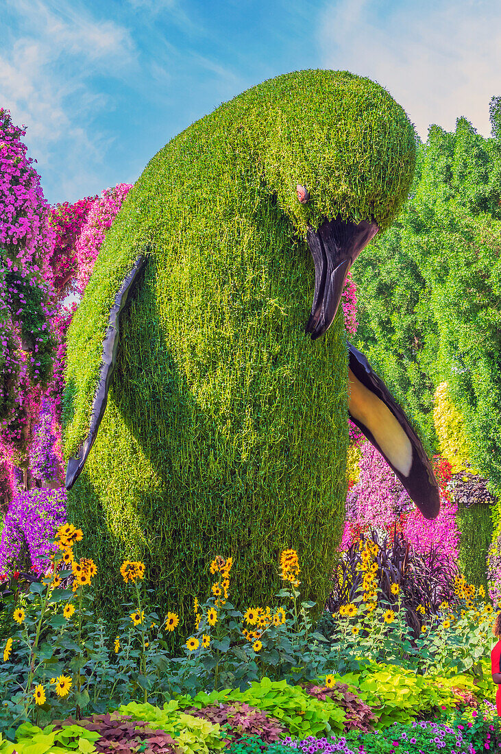  The Dubai Miracle Garden, colorful flower park, United Arab Emirates 