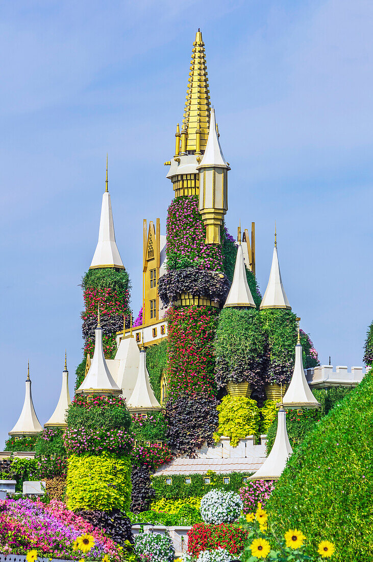  The Dubai Miracle Garden, colorful flower park, United Arab Emirates 