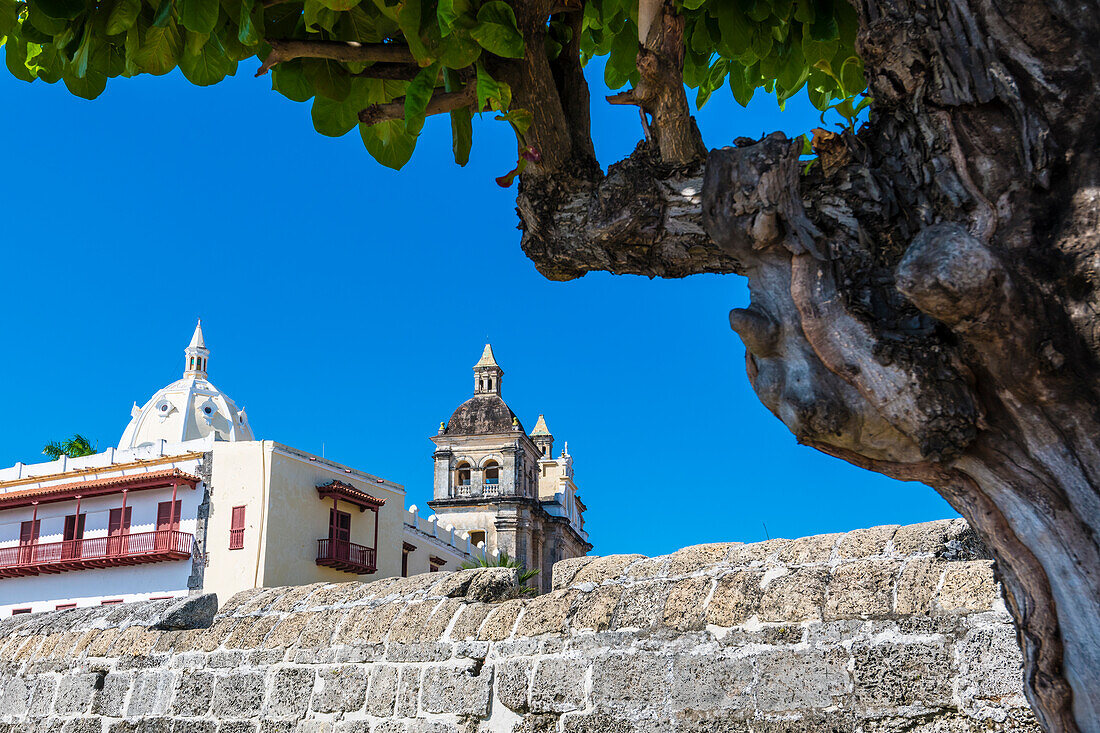  City walls with cathedral, Cartagena, Colombia, America 