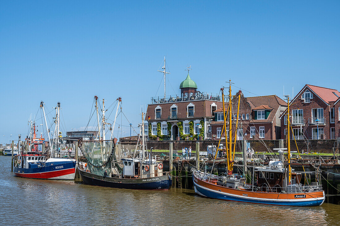  Fishing harbor with shrimp boats, Neuharlingersiel, East Frisia, Lower Saxony, Germany 