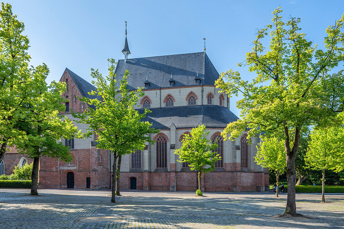  Luther Church in Norden, East Frisia, Lower Saxony, Germany 