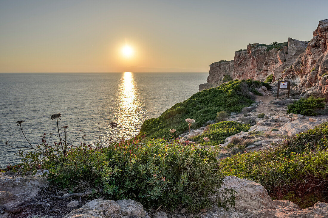  Cliffs near Es Canutells with archaeological site &quot;Es Castellàs des Caparrot de Forma&quot;, Menorca, Balearic Islands, Spain, Europe 