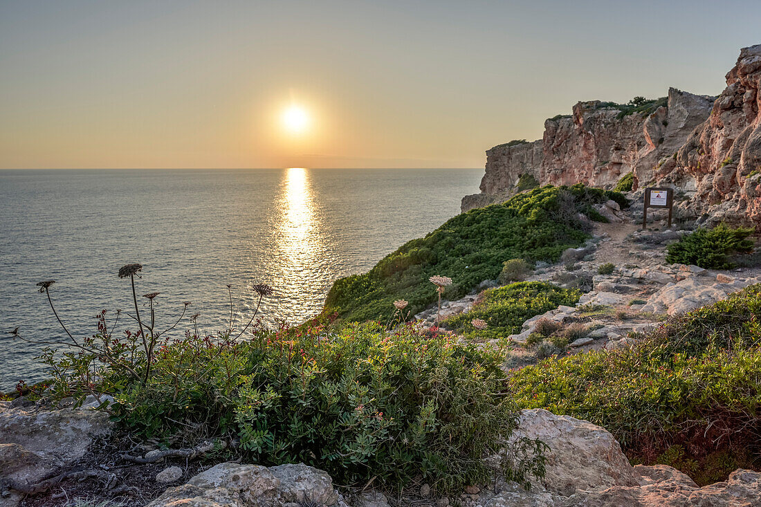 Klippen bei Es Canutells mit Ausgrabungsstätte "Es Castellàs des Caparrot de Forma", Menorca, Balearen, Spanien, Europa