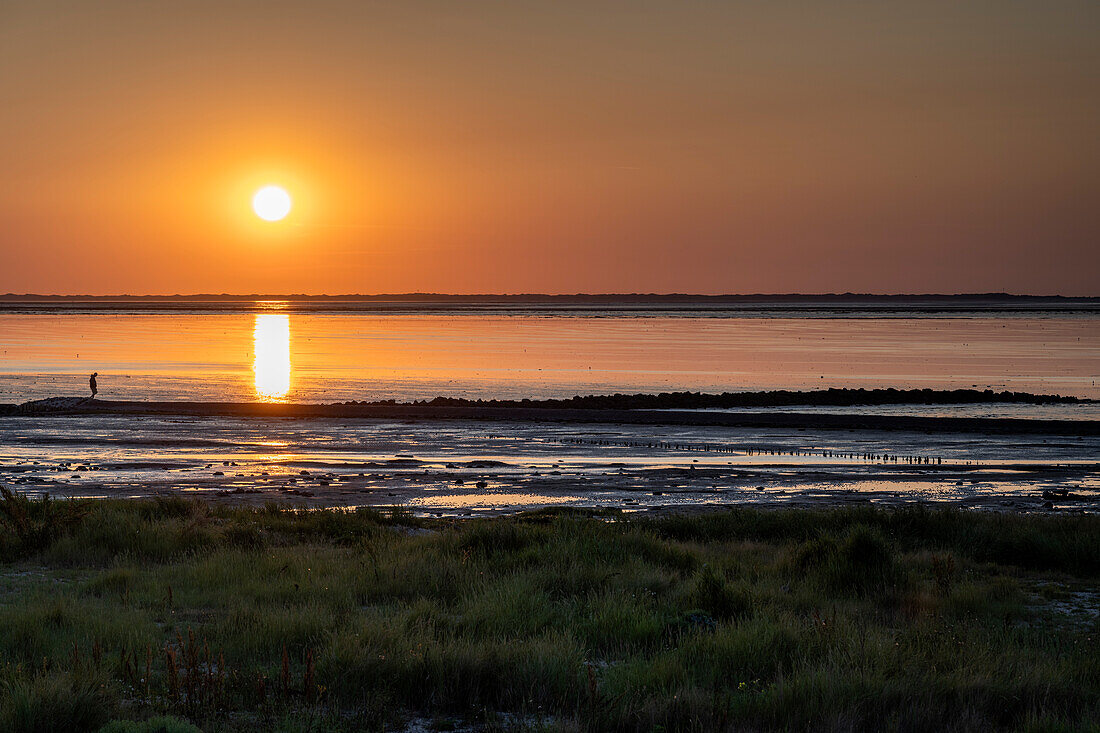 Silhouette einer Salzwiese und Buhne an der Nordsee bei Sonnenuntergang, Neuharlingersiel, Ostfriesland, Niedersachsen, Deutschland, Europa