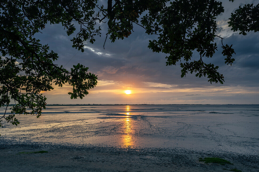  Wadden Sea at sunset, Dangast, Varel, Friesland, Lower Saxony, Germany, Europe 