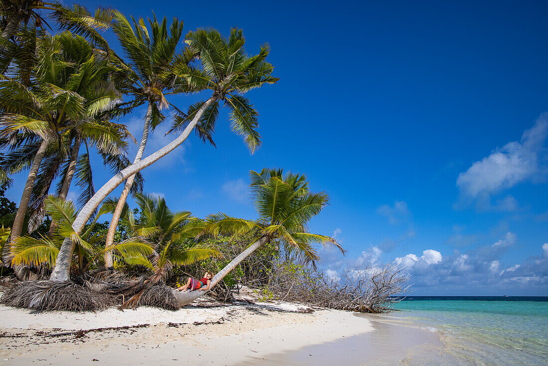Frau liegt auf Stamm einer Kokospalme am Strand, Insel Bijoutier Island, Saint-François-Atoll, Alphonse Group, Äußere Seychellen, Indischer Ozean, Ostafrika