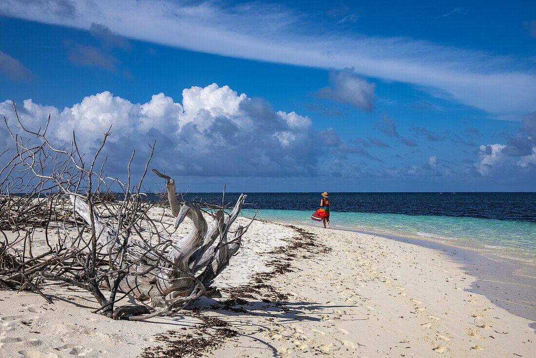  Driftwood on the beach of Bijoutier Island with a woman walking along the water, Bijoutier Island, Alphonse Group, Outer Seychelles, Seychelles, Indian Ocean 