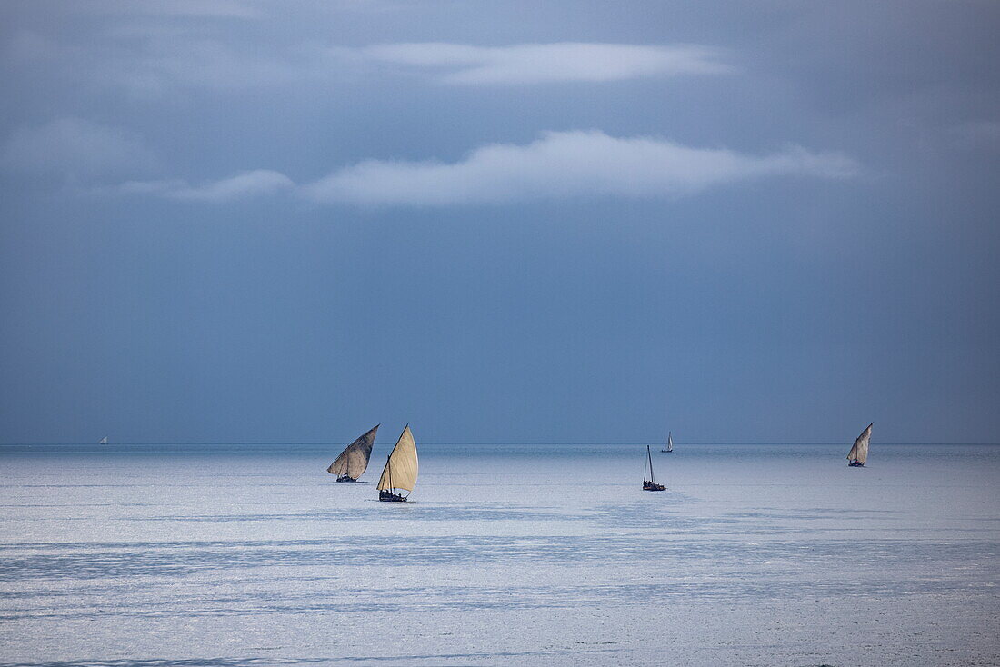 Traditionelle Dhau-Segelboote mit Gewitterwolken im Hintergrund, Stonetown, Sansibar-Stadt, Sansibar, Tansania, Afrika
