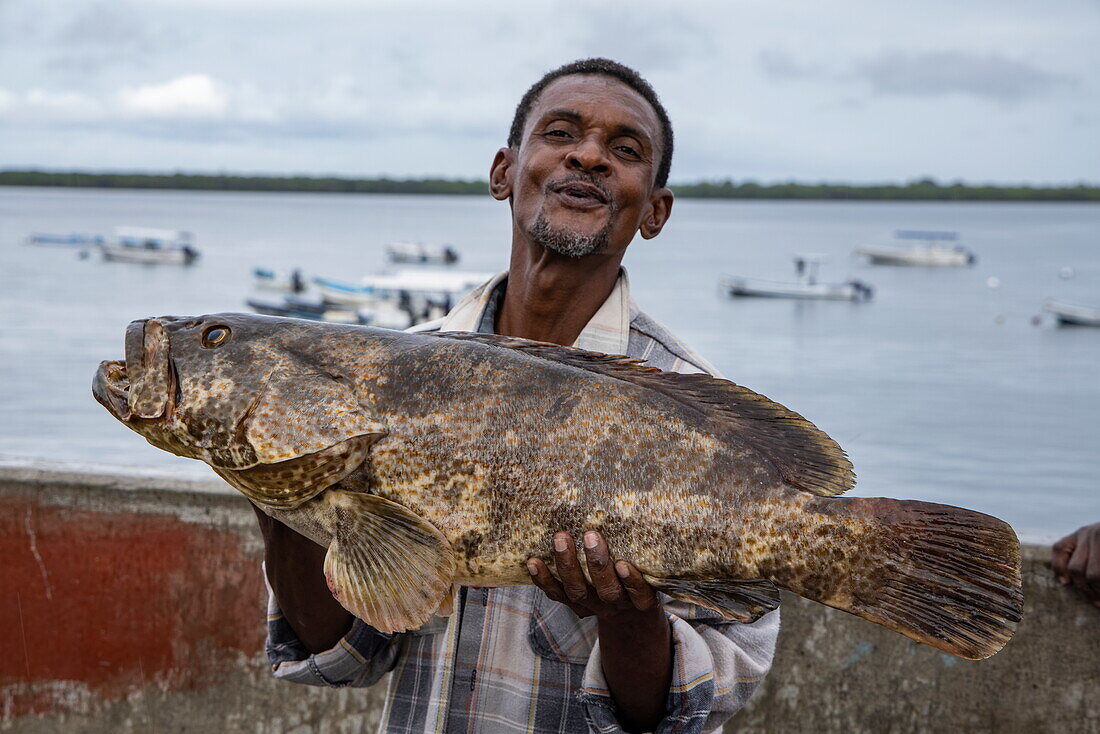 Ein Einheimischer zeigt stolz einen großen Zackenbarsch Fisch, Lamu, Insel Lamu, Kenia, Afrika