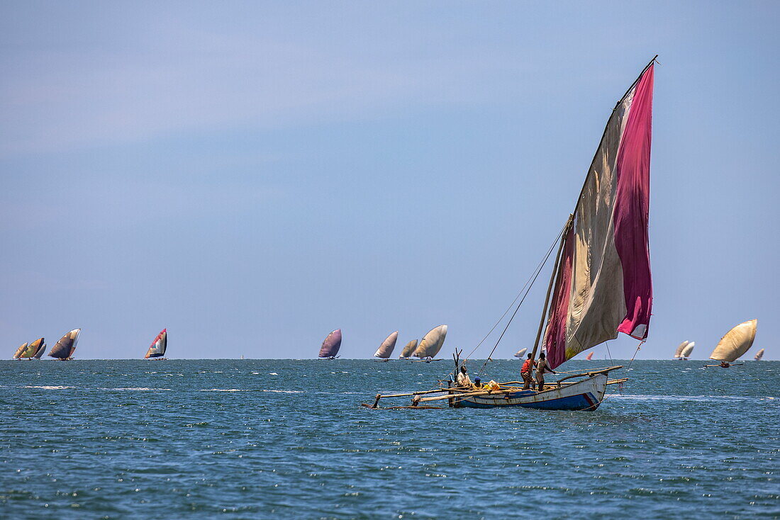 Traditionelle Dhau-Segelboote, Mahajanga, Boeny, Madagaskar, Indischer Ozean