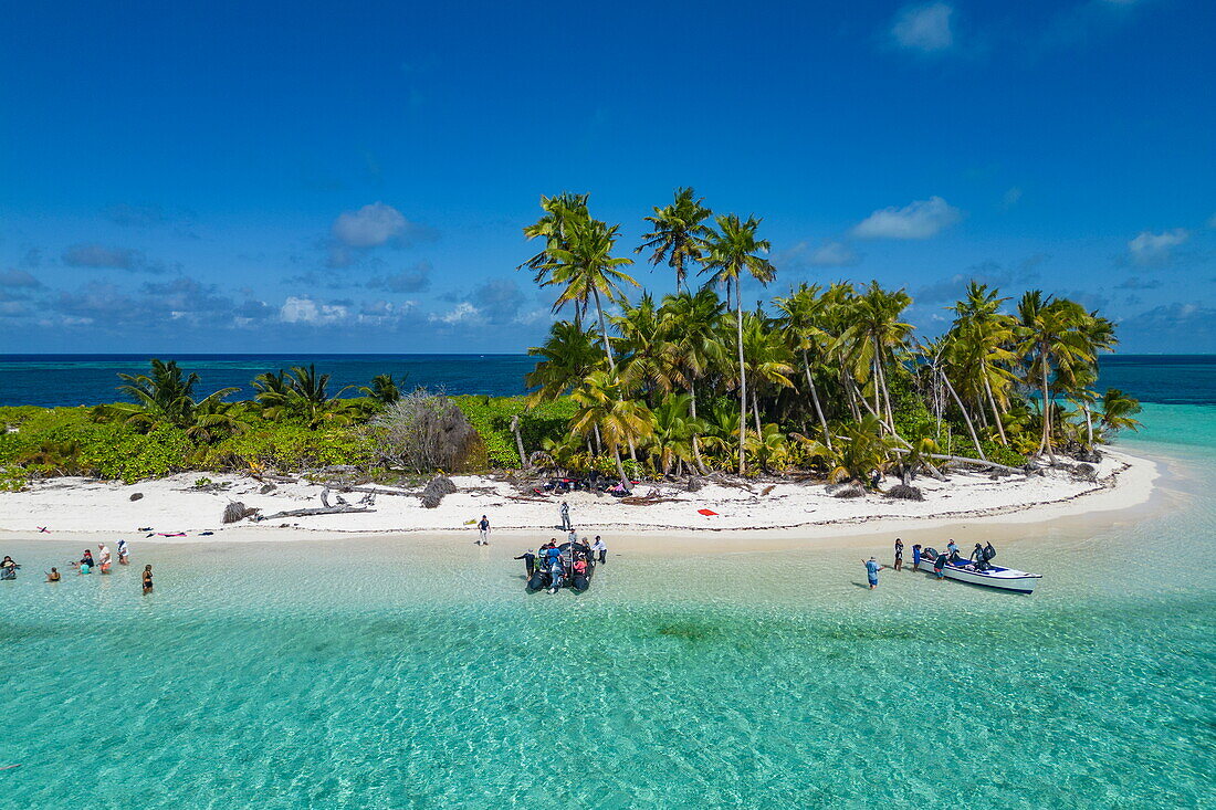  Aerial view of a motorized Zodiac inflatable boat from the expedition cruise ship SH Diana (Swan Hellenic) and people on the beach with coconut trees, Bijoutier Island, Alphonse Group, Outer Seychelles, Seychelles, Indian Ocean 