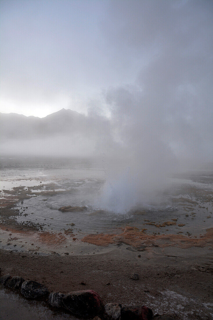  Chile; Northern Chile; Antofagasta Region; Atacama Desert; El Tatio Geysers; largest geyser field in the southern hemisphere 