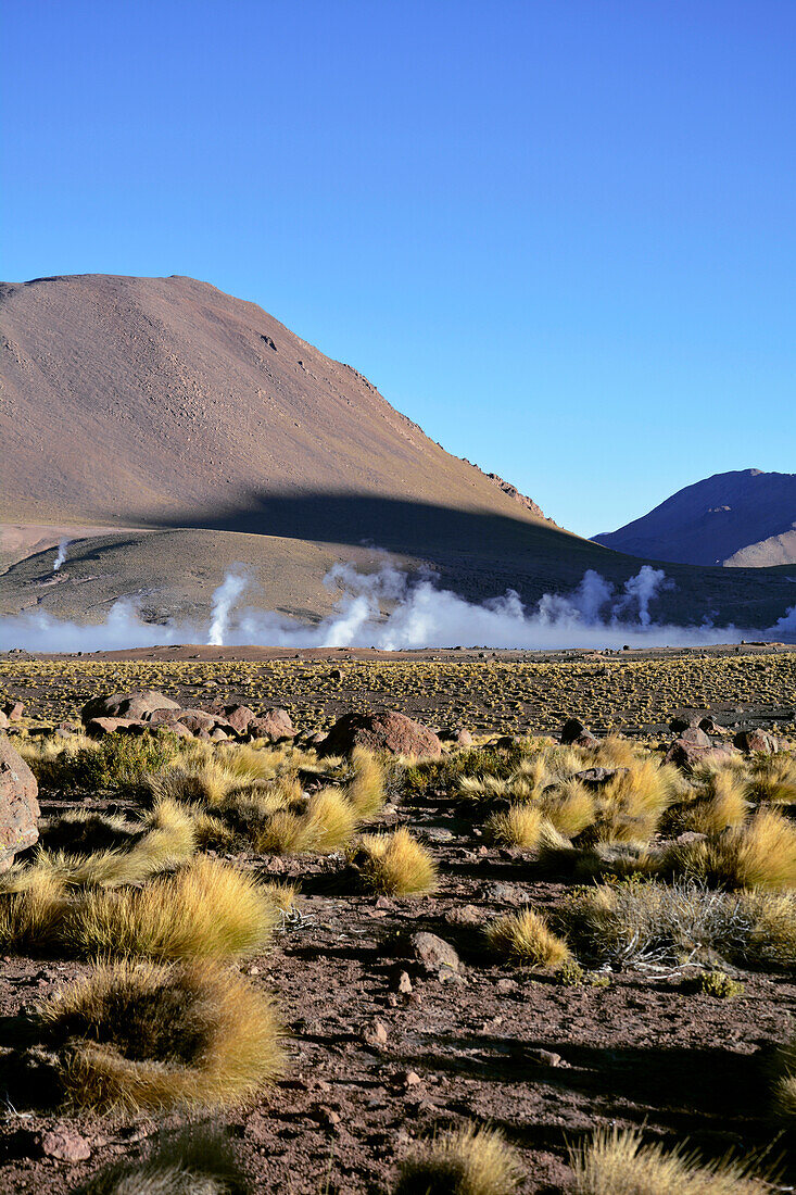 Chile; Nordchile; Region Antofagasta; Atacama Wüste; El Tatio Geysire; größtes Geysirfeld der Südhalbkugel