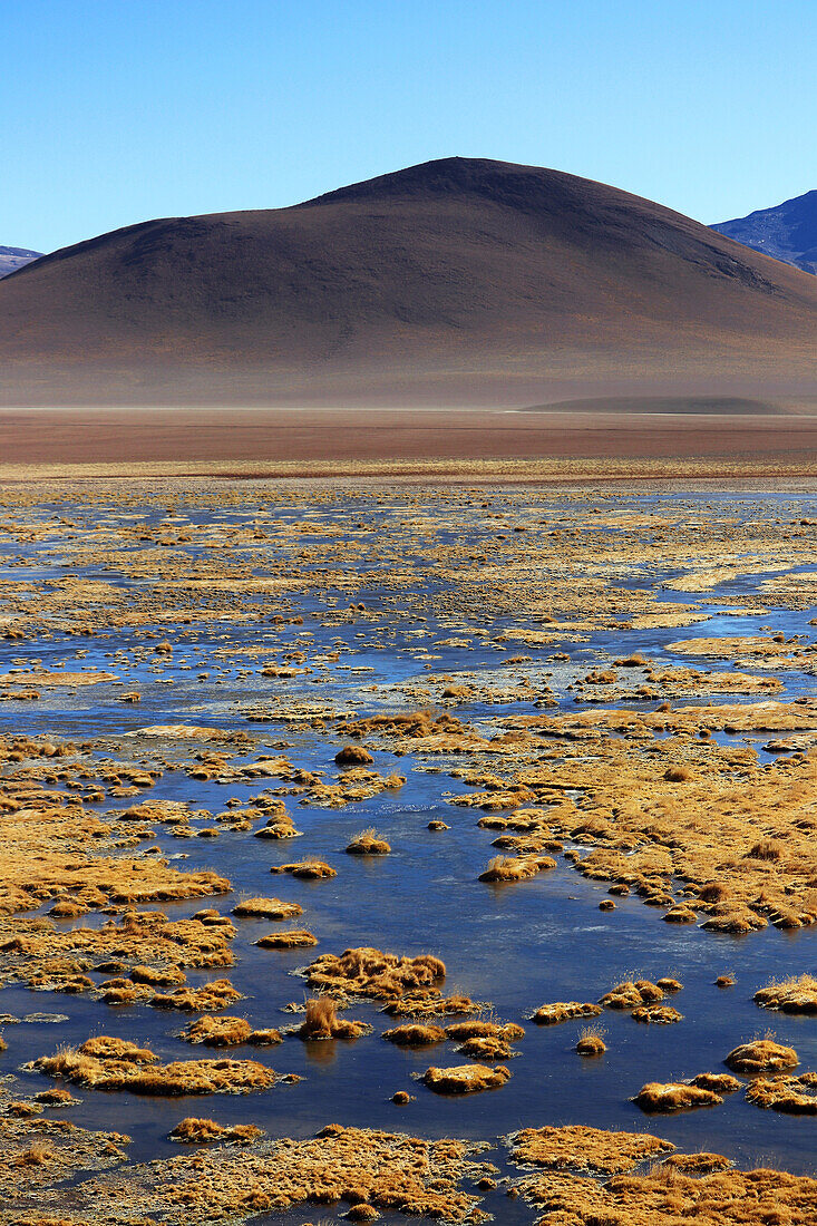  Chile; Northern Chile; Antofagasta Region; Atacama Desert; ford of the Rio Putana; floodplain landscape 