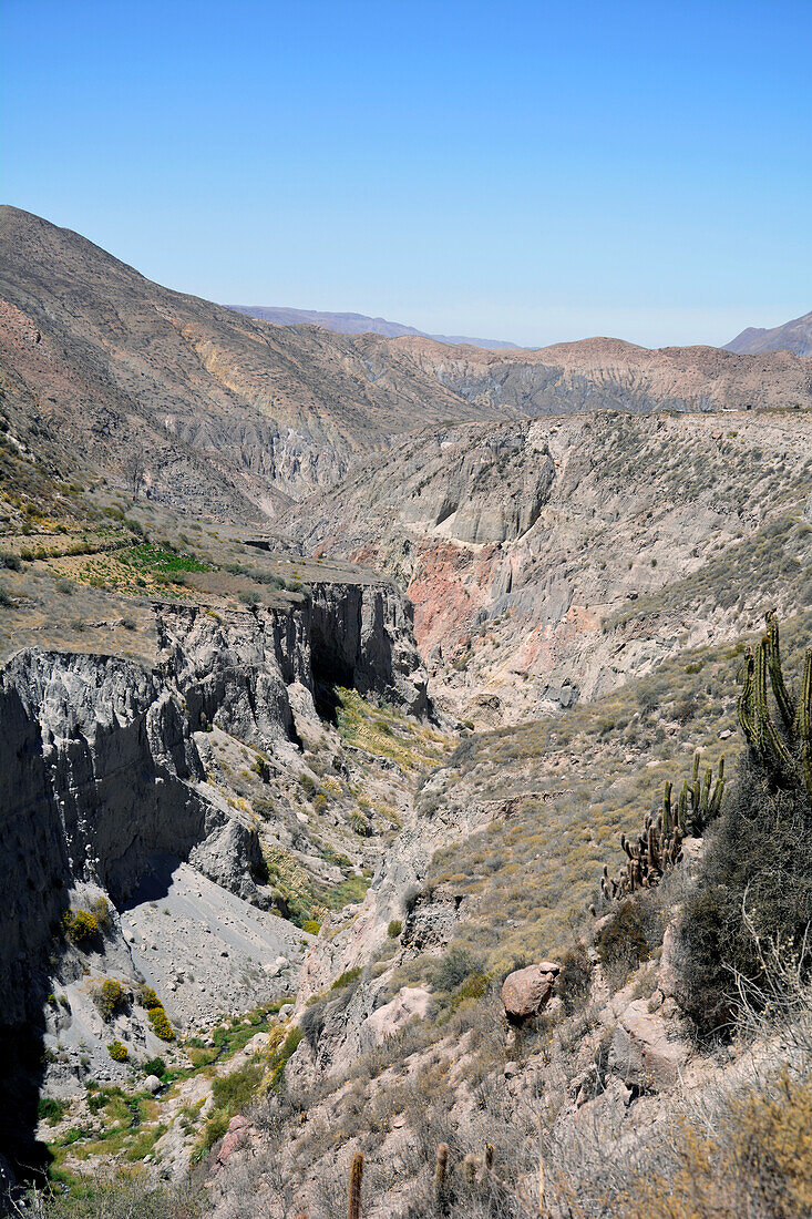 Chile; Nordchile; Region Arica y Parinacota; Jurase Schlucht bei Putre; auf alten Inkawegen entlang der Schlucht