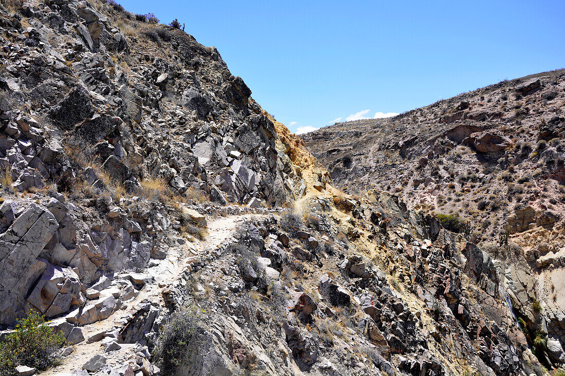 Chile; Nordchile; Region Arica y Parinacota; Jurase Schlucht bei Putre; auf alten Inkawegen entlang der Schlucht