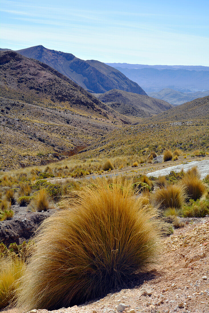 Chile; Nordchile; Region Arica y Parinacota; in der Nähe von Putre; Berglandschaft beim Thermalbad von Jurasi