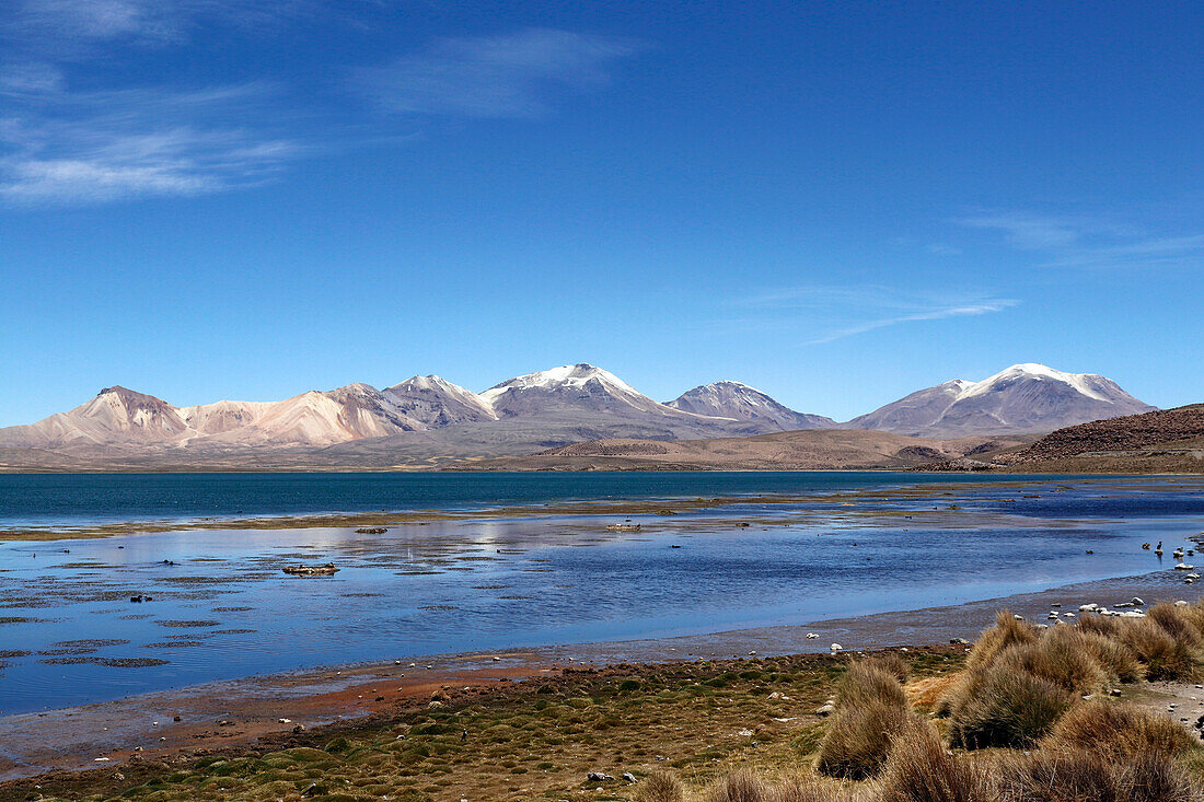  Chile; Northern Chile; Arica y Parinacota Region; on the border with Bolivia; Lauca National Park; Lake Chungara with mountains in the background 
