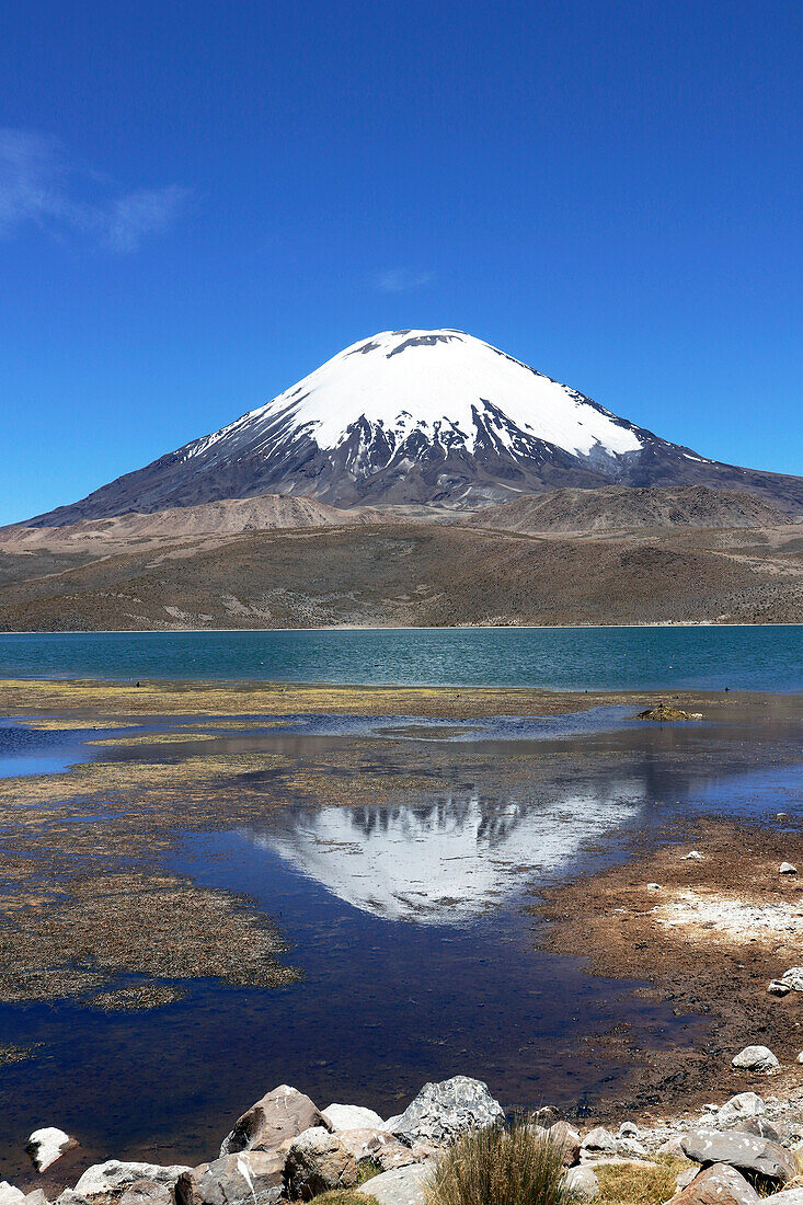 Chile; Nordchile; Region Arica y Parinacota; an der Grenze zu Bolivien; Lauca Nationalpark; Vulkan Parinacota; spiegelt sich an der Wasseroberfläche des Lago Chungara