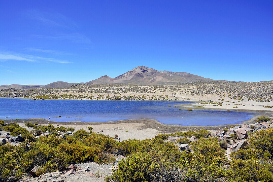  Chile; Northern Chile; Arica y Parinacota Region; Lauca National Park; Lake behind the village of Parinacota 