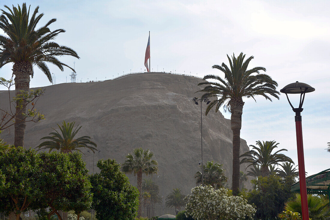 Chile; Nordchile; Region Arica y Parinacota; an der Grenze zu Peru; Arica; Felsen El Morro de Arica