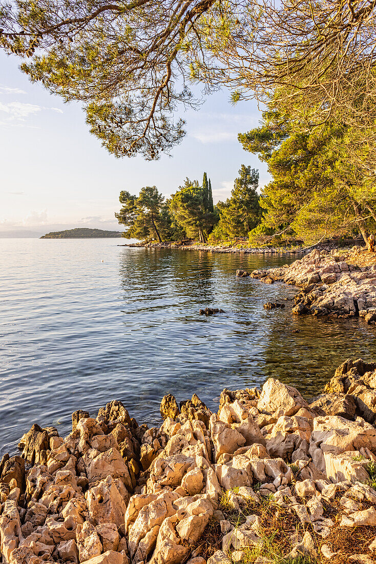  In the evening on the Paradise Trail near Malinska, Njivice, Krk, Rijeka, Urinj, Croatia, Europe 