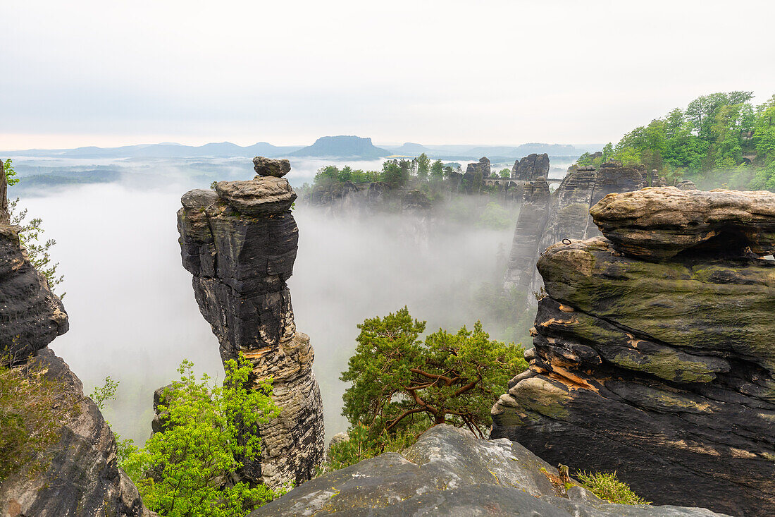  Early morning at the Bastei, Rathen, Saxon Switzerland, Elbe Sandstone, Pirna, Saxony, Germany, Europe 