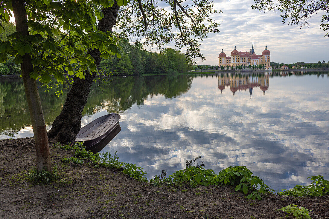  Morning at Moritzburg Castle, Meißen, Saxony, Germany, Europe 